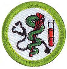 Healthcare Professionals 12 Scouts max (6 spots left)